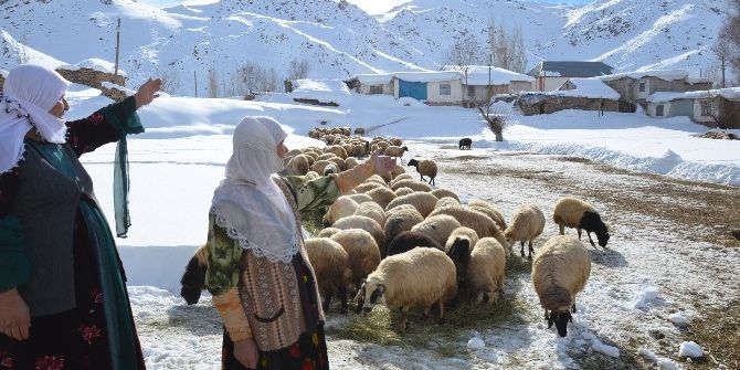 Yüksekova’da Aylardır Kapalı Olan Köy Yolu Açıldı