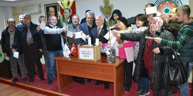 Hamamyolu İçin Referandum Çağrısı