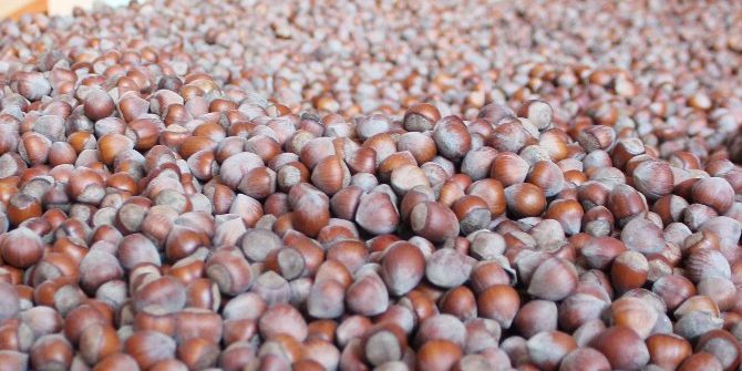 Cumhurbaşkanı Erdoğan’ın ‘Fındık’la İlgili Sözleri Üreticiyi Umutlandırdı