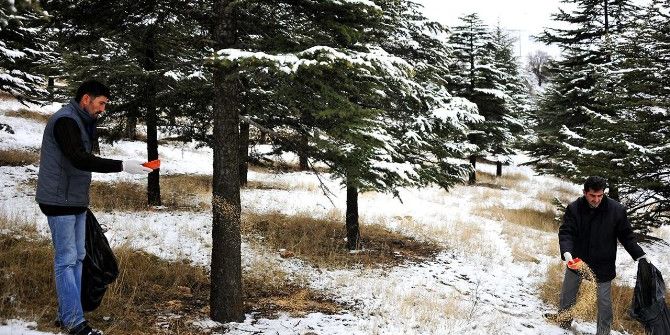Büyükşehir Belediyesinden Sokak Hayvanlarına Şefkat Eli