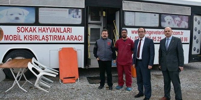 Sandıklı’da Kuduz Vakasının Ardından Sokak Hayvanları Aşılanıyor