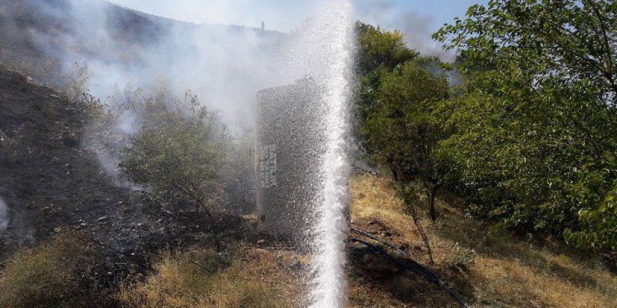 Anız Yangını Meyve Bahçesine Sıçradı