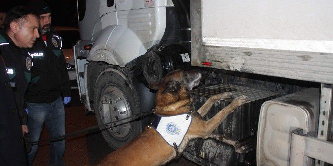 Tırın Gizli Bölmesinden 7 Milyon Tl’lik Eroin Çıktı