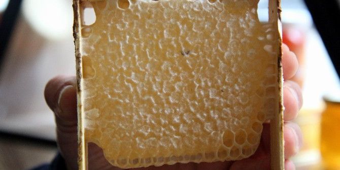 Arıcılar Bal Hedefine Ulaşamadı