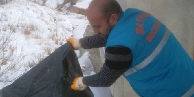 Yaban Hayvanları Unutulmadı