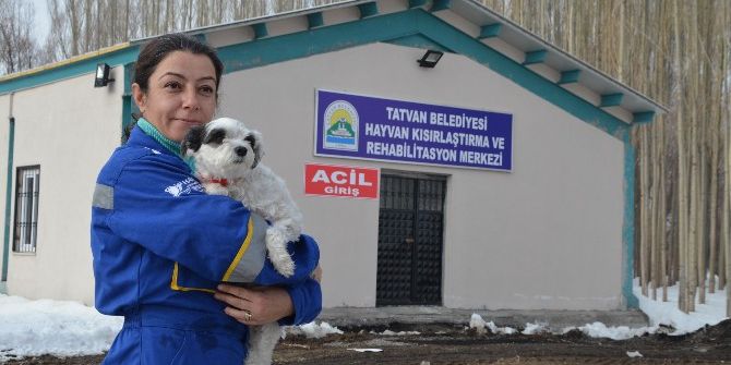 Tatvan’da Hayvan Hastanesi Kuruldu