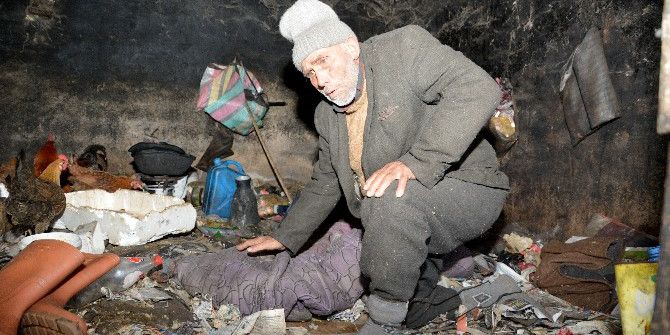 Çöplüğe Dönen Damda Hayvanlarla Yaşayan Kardeşlere Belediye Sahip Çıktı