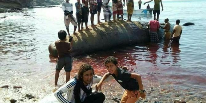 Aden’de Balıkçılar Deniz Sahiline Vurmuş Amber Balinası Buldu