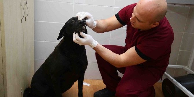 “Arap” Emin Ellerde