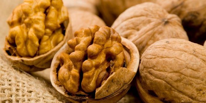 Ceviz Yaşlanmayla Savaşıyor