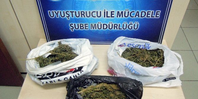 Emniyet Uyuşturucu Tacirlerine Göz Açtırmıyor