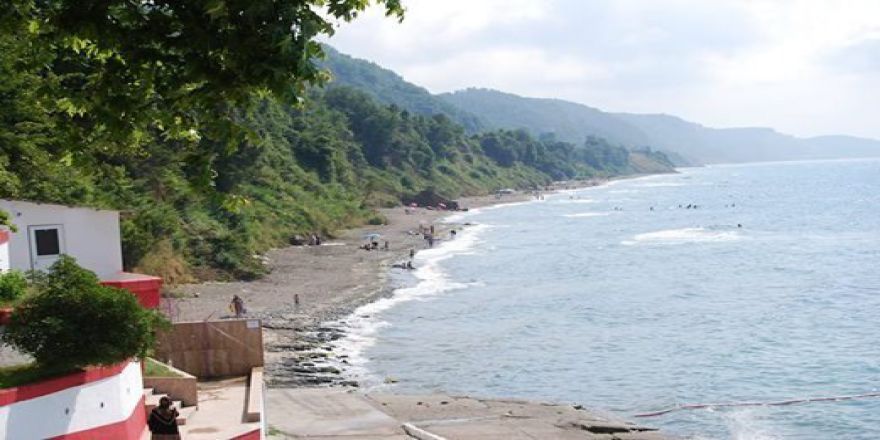 Alaplı’da Plaj Temiz Çıktı