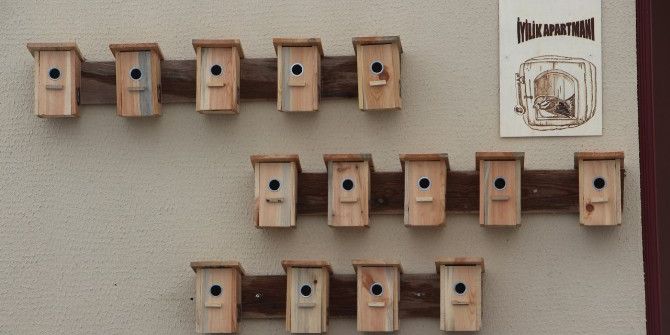 Çankırı’da Kuşlar İçin İyilik Apartmanı