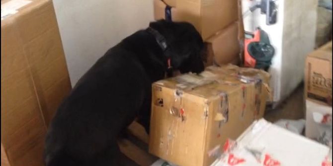 Marmaris’te Uyuşturucu Madde Ele Geçirildi