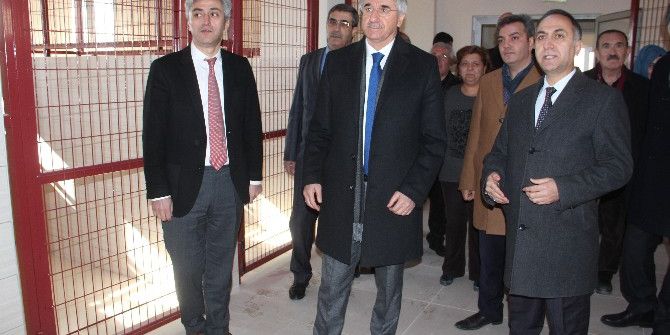 Türkiye’nin En Büyük Hayvan Hastanesi Ve Oteli Tamamlandı