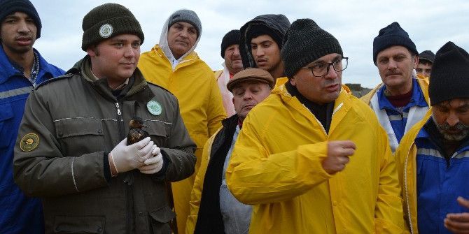 Hersek Lagünü Petrolden Temizleniyor