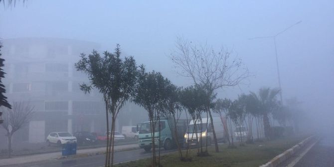 Milas’ta Yoğun Sis Etkili Oluyor