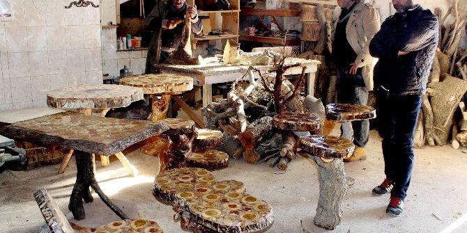 Yüzyıllık Kütüklerin Mantar Mobilyaya Yolculuğu