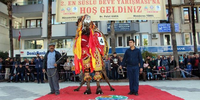 Antalya’da En Süslü Deve Ödülü ’Kanka’ya Gitti