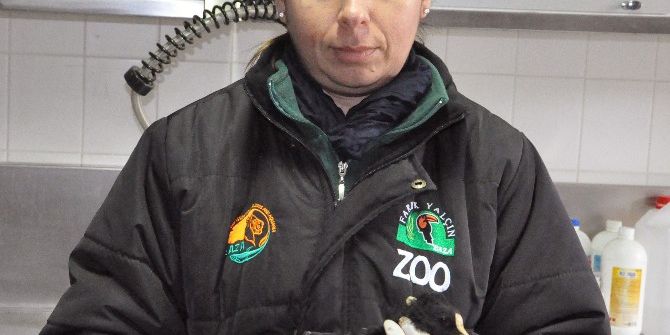 Katrana Bulanan Deniz Canlılarının Tedavilerine Devam Ediliyor