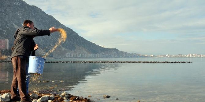 Belediye Göl Kıyısına Kuşlar İçin Yem Bıraktı