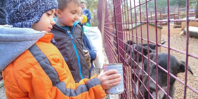 Bodrumspor Altyapısı Başarısını Şampiyonluklarla Taçlandırıyor