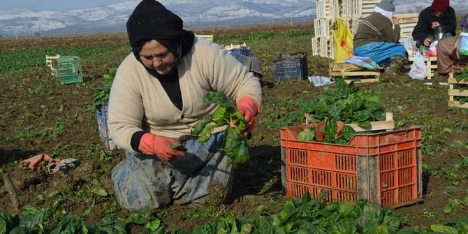 Tarımda Genç Girişimci Kadınlar Güçleniyor Programı Erzincan’da Başladı