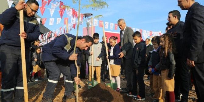 Mezitli’de 27. Jakaranda Koruluğu Oluşturuldu