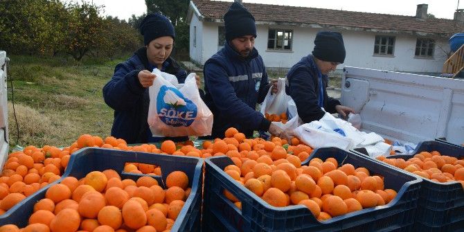 Söke Belediyesi’nden Vatandaşa C Vitamini