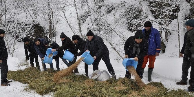 Doğaya Yem Bıraktılar
