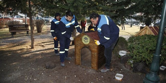 Odunpazarı Belediyesi Sokak Hayvanlarını Unutmadı