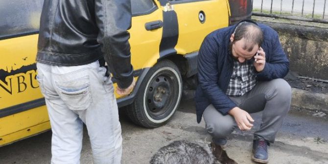 Tavuklarına Saldırdığı İddiasıyla Köpeği Tüfekle Vurarak Öldürdü