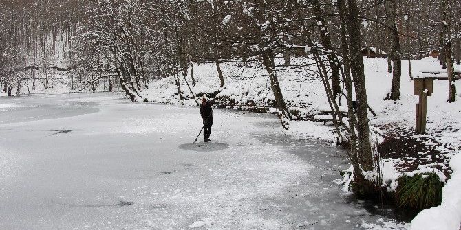 Kirliliğe Dikkat Çekmek İçin Dalış Yaptı Onlarca Cep Telefonu Buldu