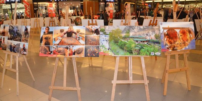 15 Temmuz Darbe Girişimi Ve Darende Tanıtım Sergisi Açıldı