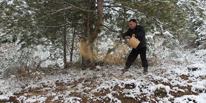 Doğaya Yem Bırakıldı