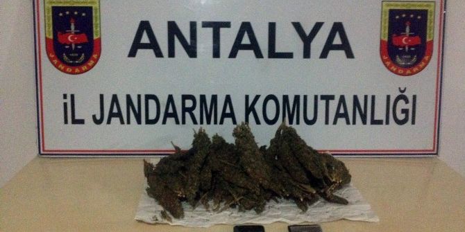 Manavgat’ta Esrar Ele Geçirildi