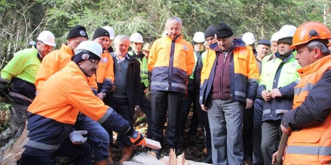 Zonguldak’da Uygulamalı Ağaç Kesme Eğitimi Verildi