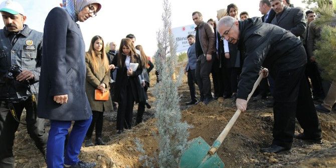 Mardin’de ’Bereket Ormanlarına’ Fidan Dikildi