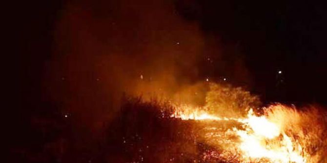 Ormanlık Alanda Çıkan Ot Yangını Büyümeden Söndürüldü