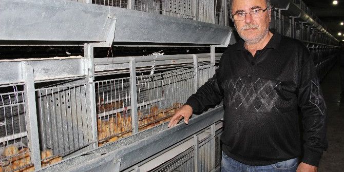 Üreticide Viyolü 6 Lira Olan Yumurta Marketlerde 12 İla 20 Lira Arasında Satılıyor