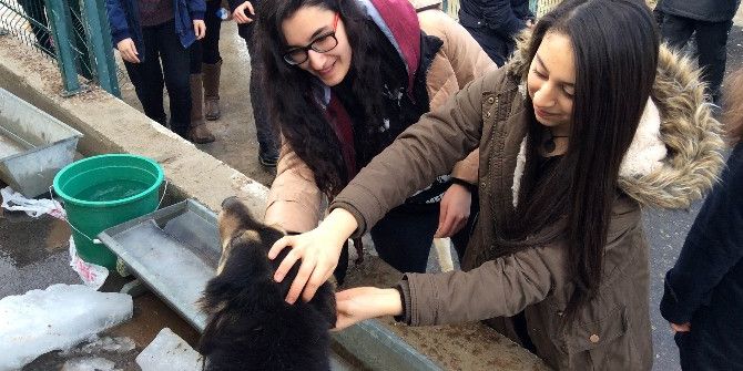 Liseli Öğrencilerden Hayvanseverlik Örneği