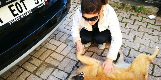 Kedi Ve Köpeklerin "Deniz" Annesi