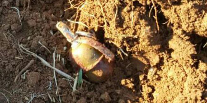 Kızıltepe’de Eylem Hazırlığındaki 2 Terörist Öldürüldü