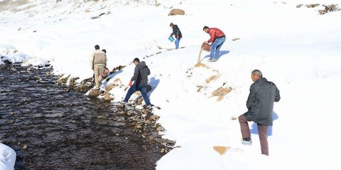 Hayvanlar İçin Yem Bırakıldı