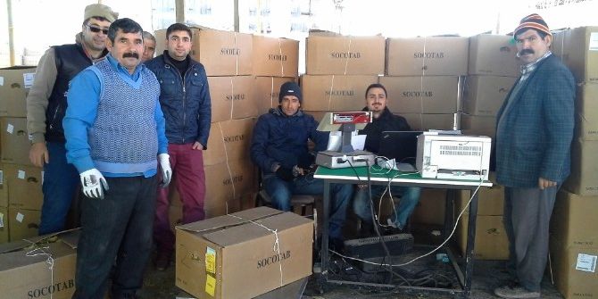 Selendi’de Tütün Alımları Başladı