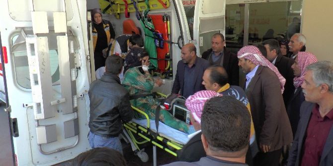 Düğün Magandaları Dehşet Saçtı: 1 Ölü, 4 Yaralı