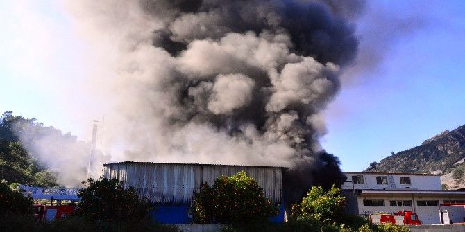 Süt Ürünleri Fabrikasında Korkutan Yangın