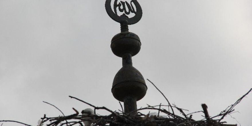 Caminin Kubbesinde Mahsur Kalan Yavru Leylekleri İtfaiye Kurtardı