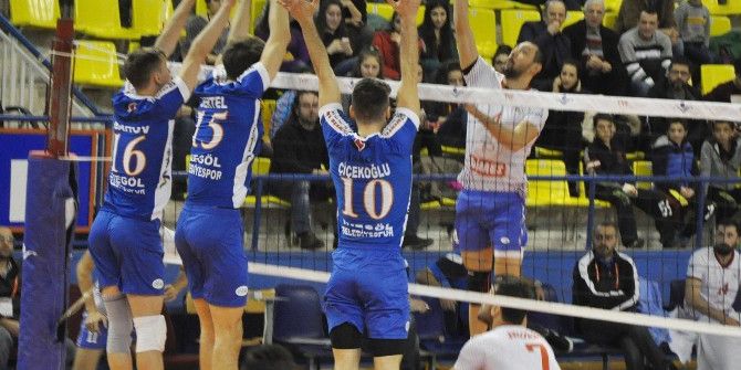 Efeler Voleybol Ligi