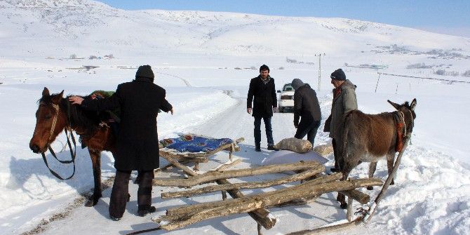 Ulaşımlarını Kızakla Sağlıyorlar